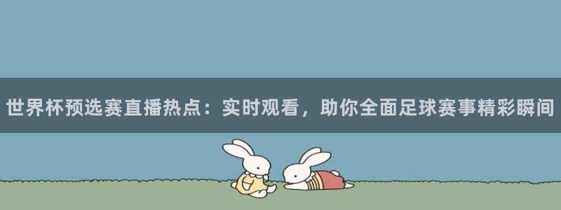 世界杯直播网：世界杯预选赛直播热点：实时观看，助你全面足球赛事精彩瞬间
