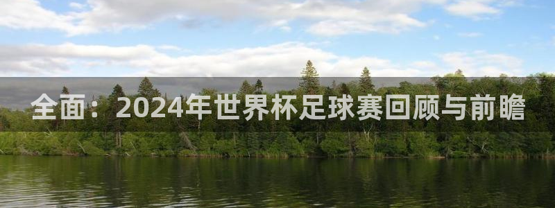 世界杯比赛直播：全面：2024年世界杯足球赛回顾与前瞻