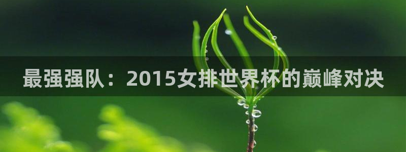 亚洲杯足球：最强强队：2015女排世界杯的巅峰对决
