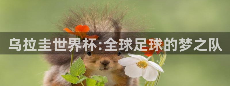 世界杯直播时间：乌拉圭世界杯:全球足球的梦之队