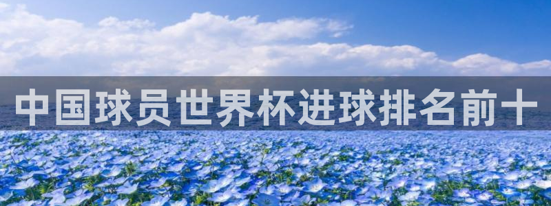 世预赛直播：中国球员世界杯进球排名前十