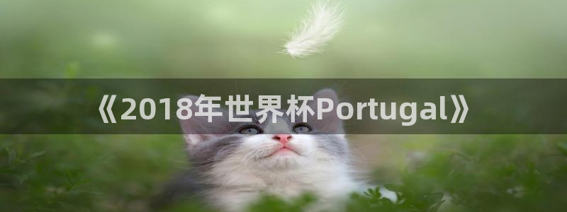 2026世界杯对阵图：《2018年世界杯Portugal》