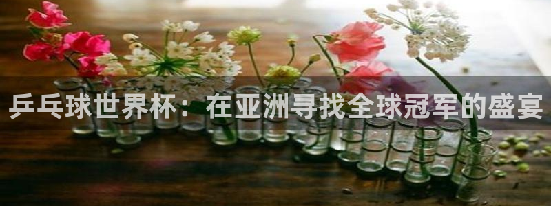 世界杯转播表：乒乓球世界杯：在亚洲寻找全球冠军的盛宴
